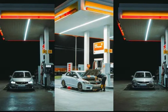 Madster Shell night